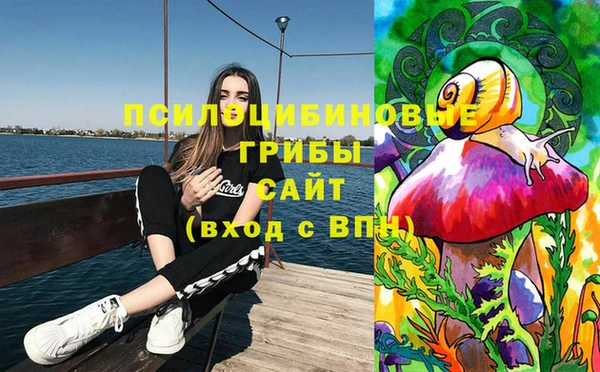 крисы Верхний Тагил