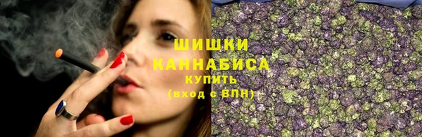 стаф Снежногорск