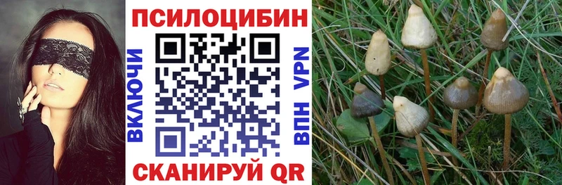 цены   Белорецк  МЕГА ссылка  Галлюциногенные грибы Magic Shrooms 