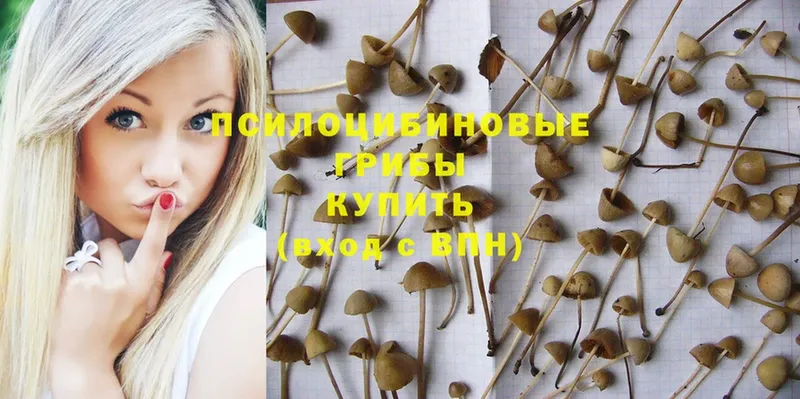 Галлюциногенные грибы мухоморы  где купить наркоту  Белорецк 