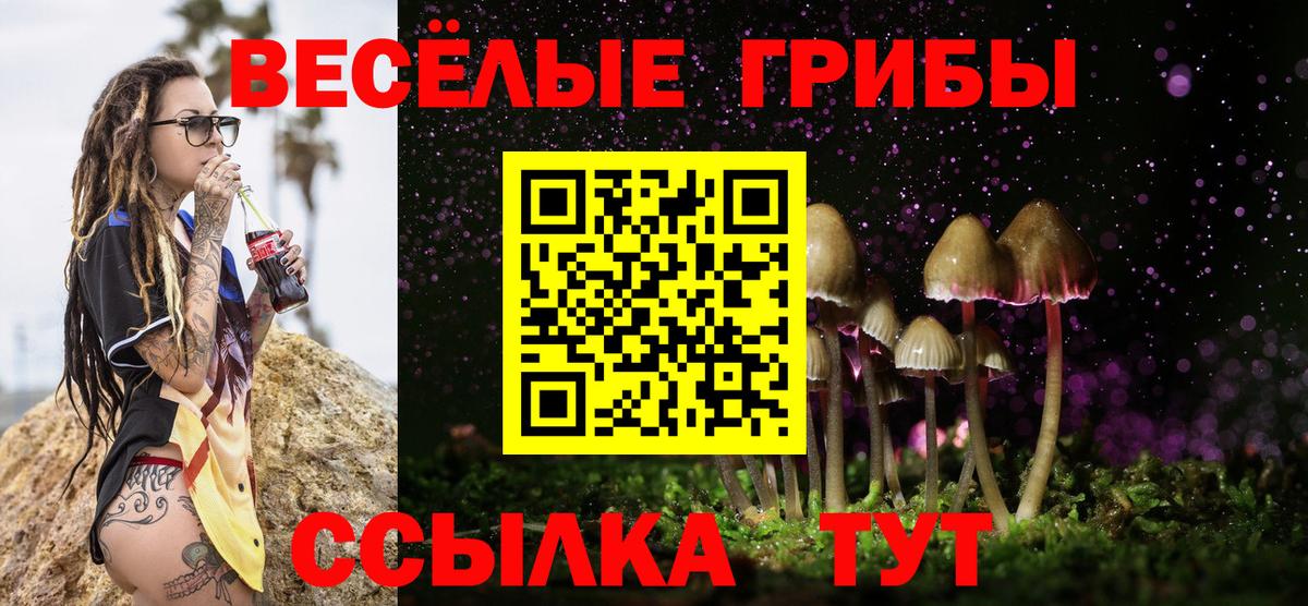 Галлюциногенные грибы Cubensis  Псилоцибиновые грибы GOLDEN TEACHER  где можно купить наркотик  Вход с VPN  Белорецк 