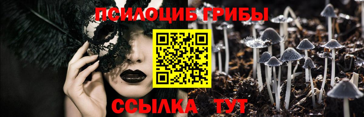 Псилоцибиновые грибы Magic Shrooms Белорецк