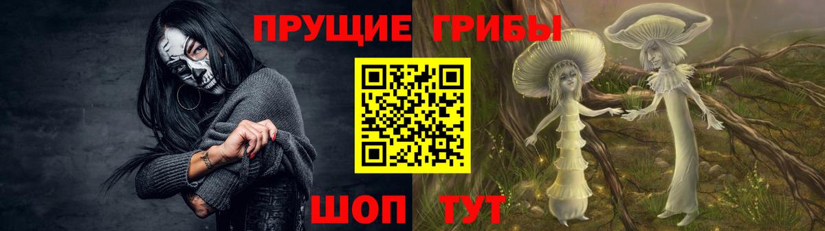 Галлюциногенные грибы прущие грибы  Белорецк  Галлюциногенные грибы Cubensis 